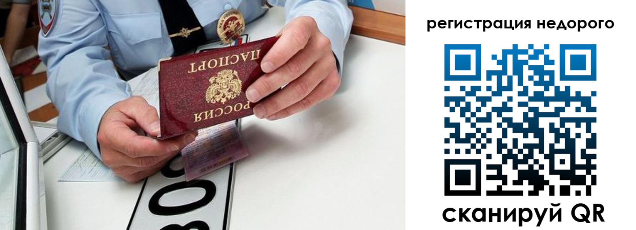 прописка ребенка в Ермолино